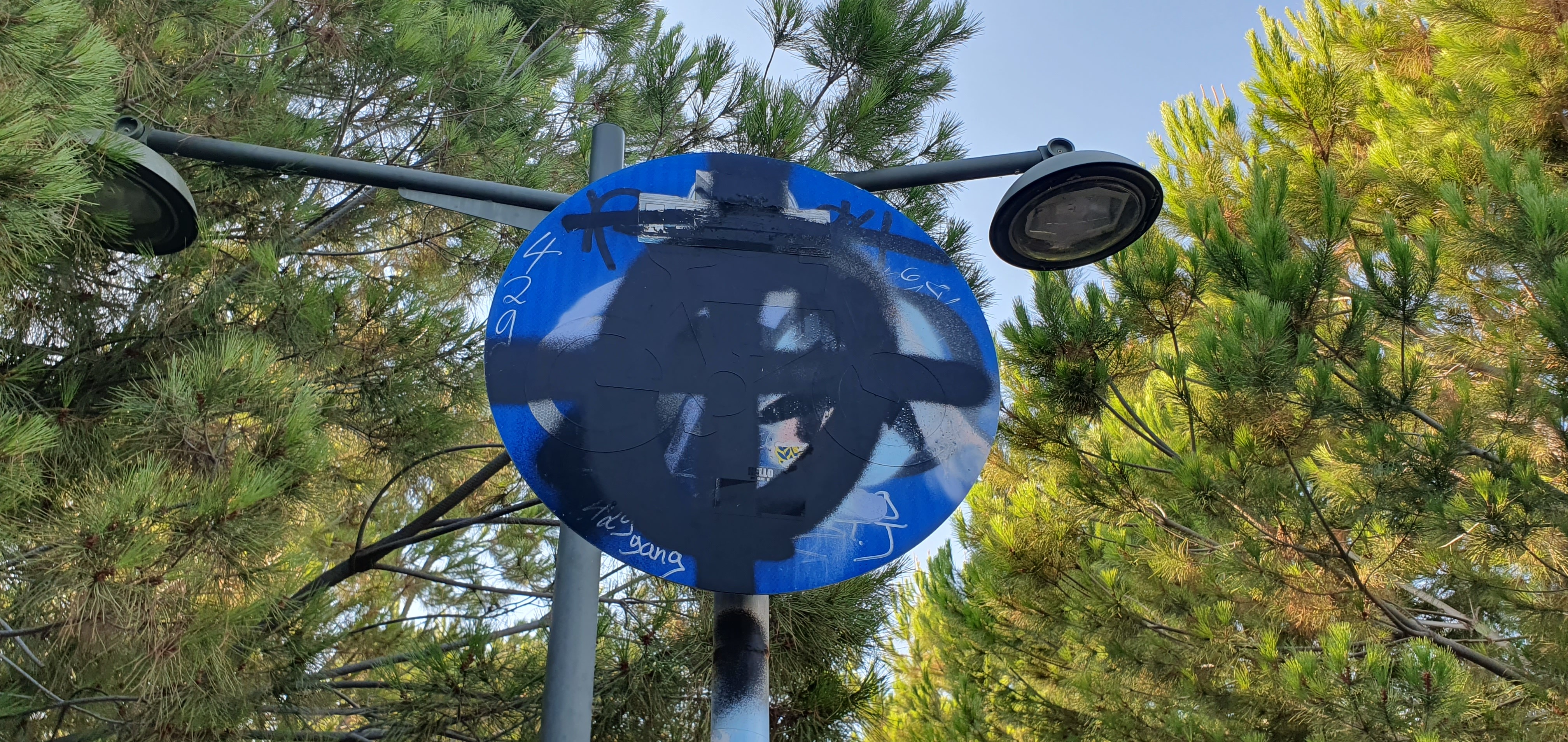 vandalism