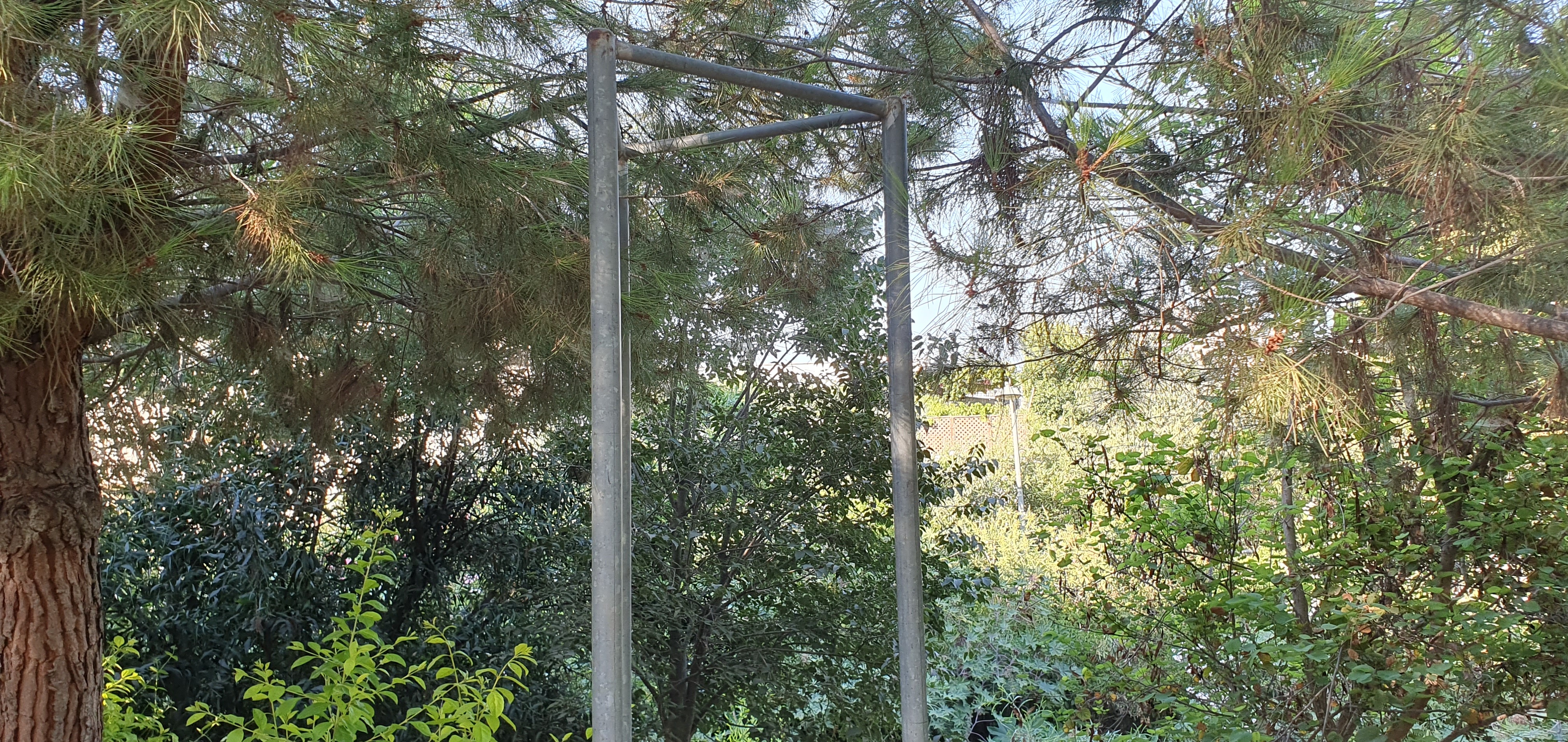 Missing signs