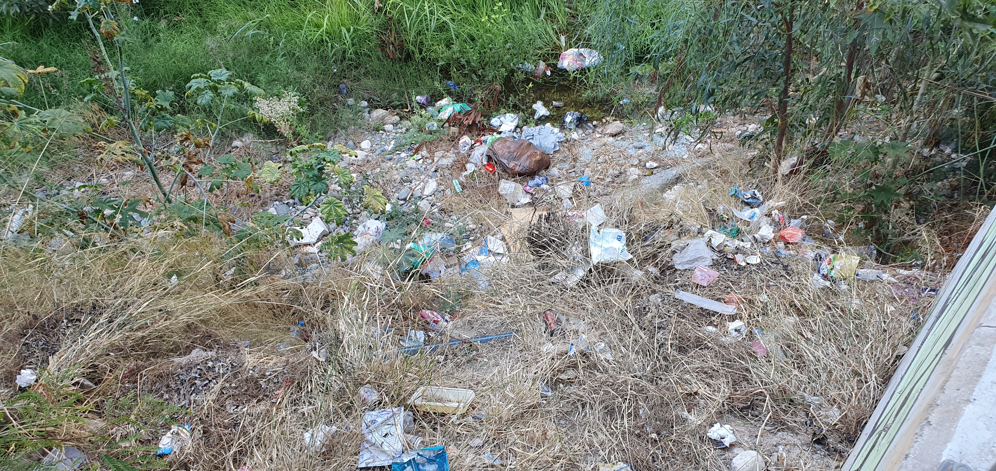 Major river pollution