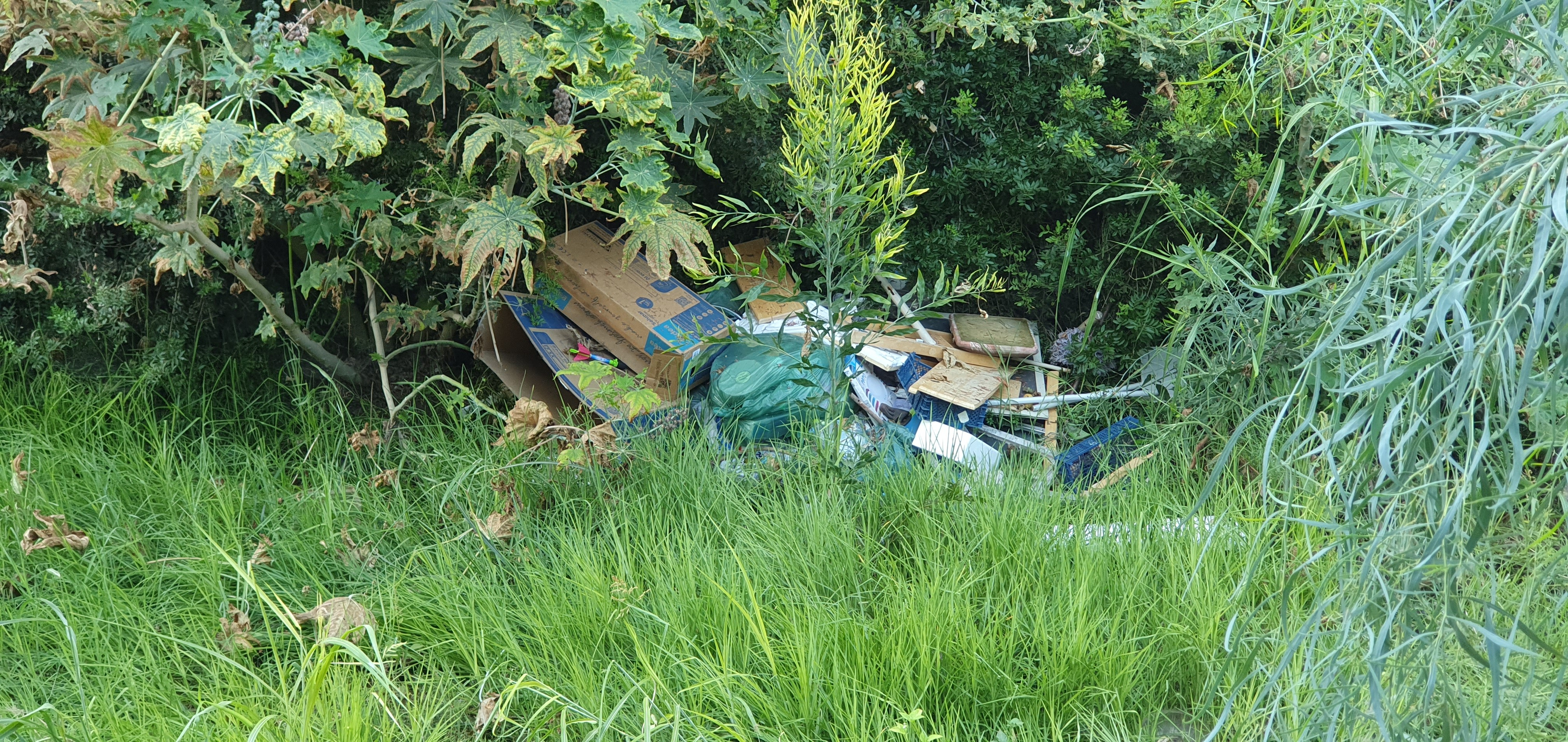 riverrubbish