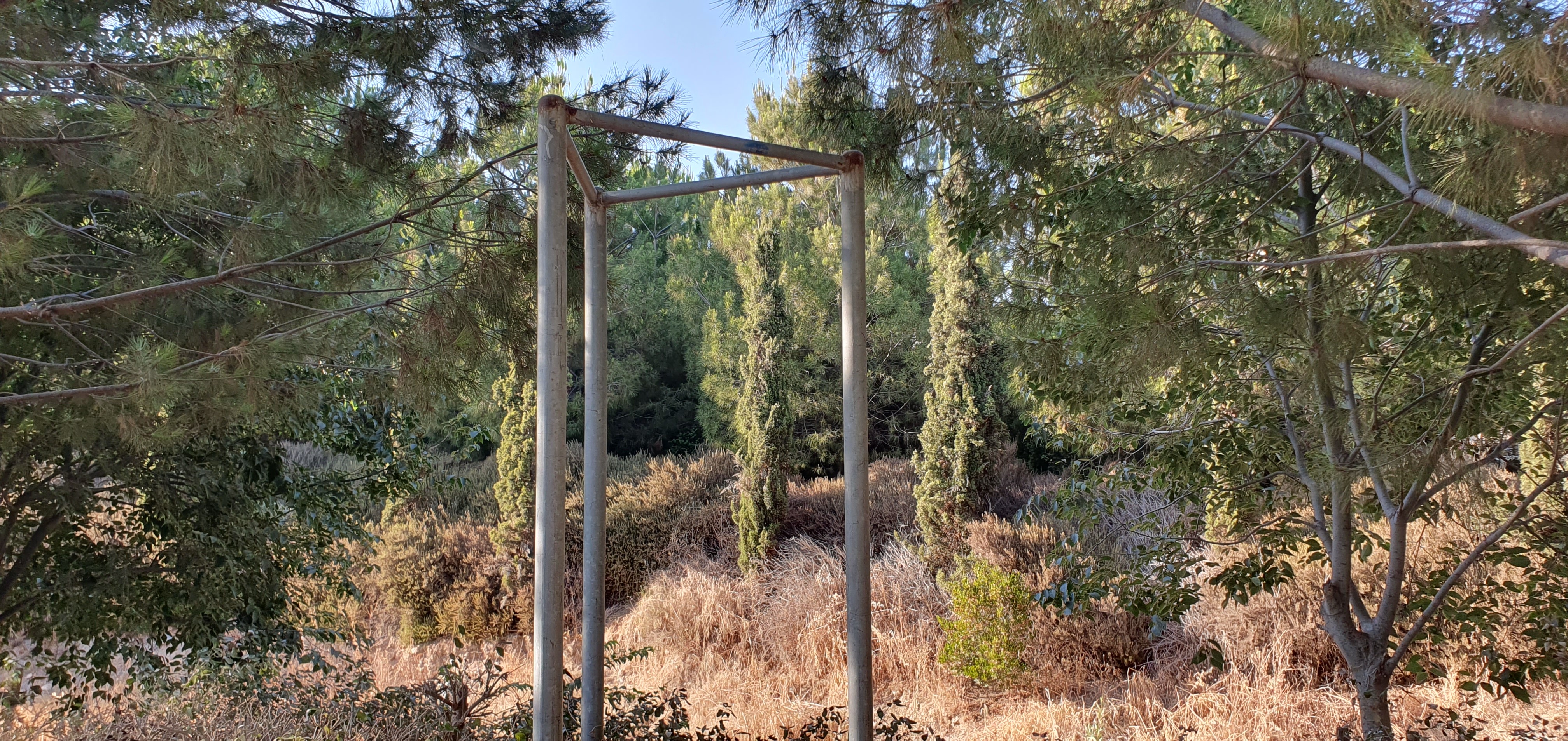 More missing signs
