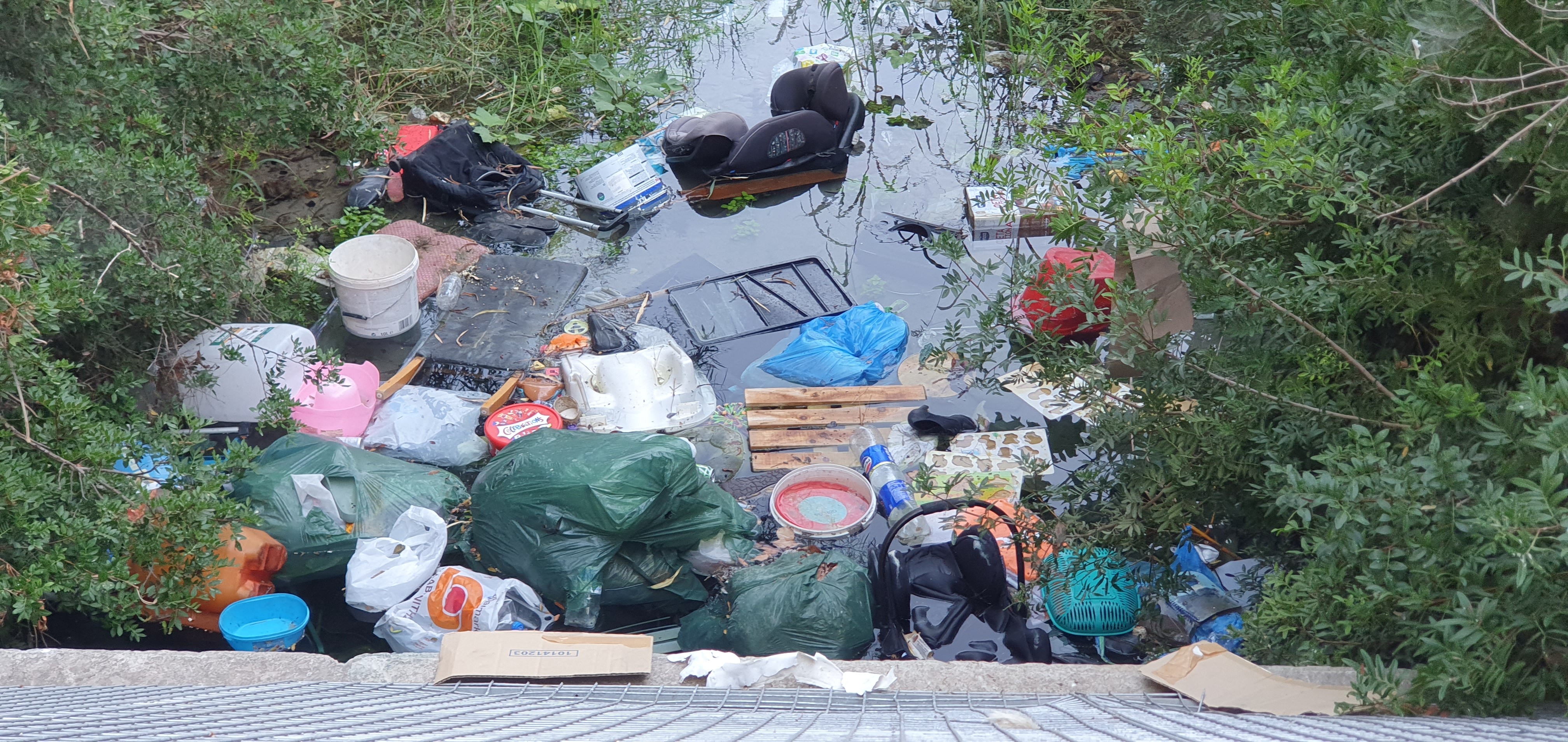 Major pollution in the river