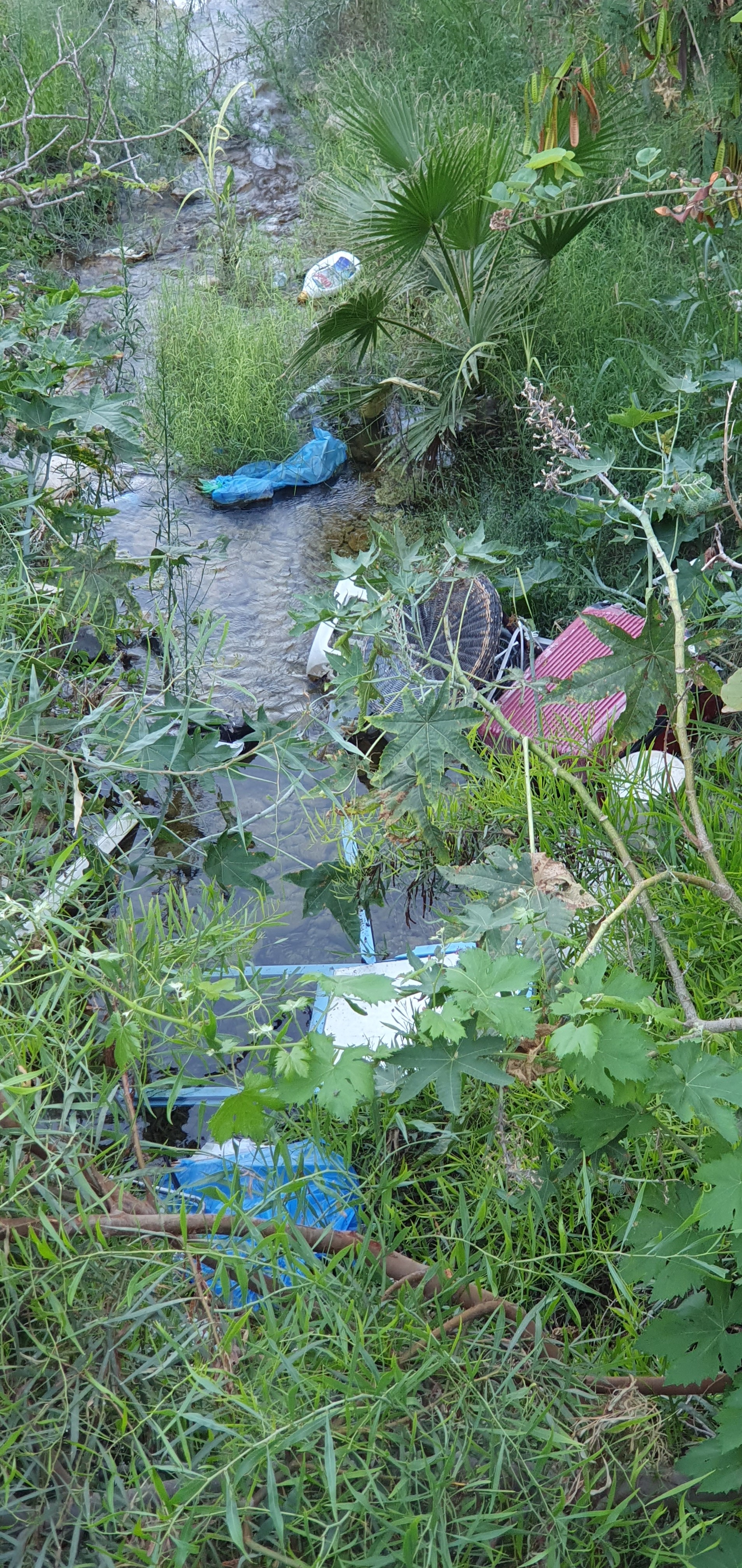 Dumped items in the river