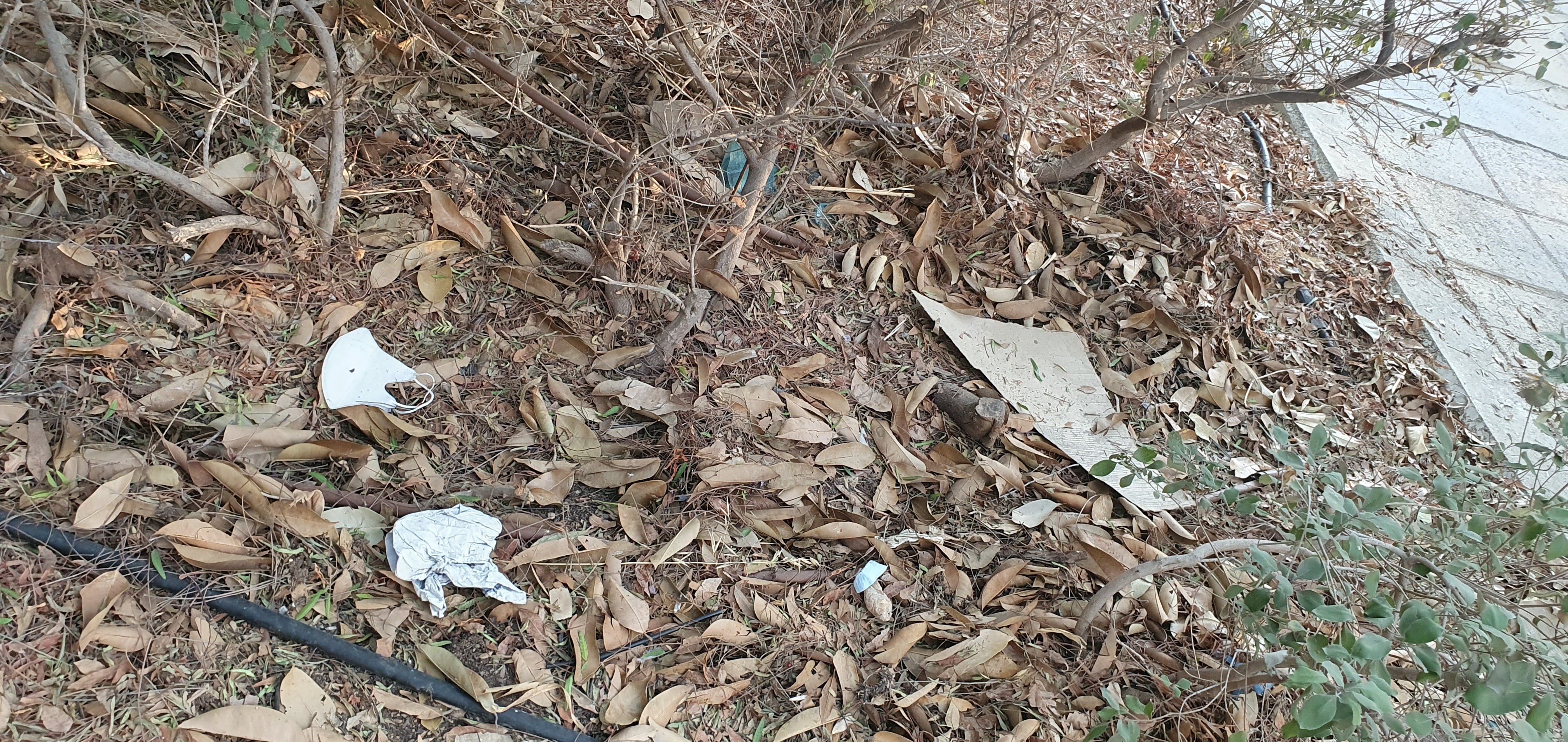 Random rubbish throughout the park
