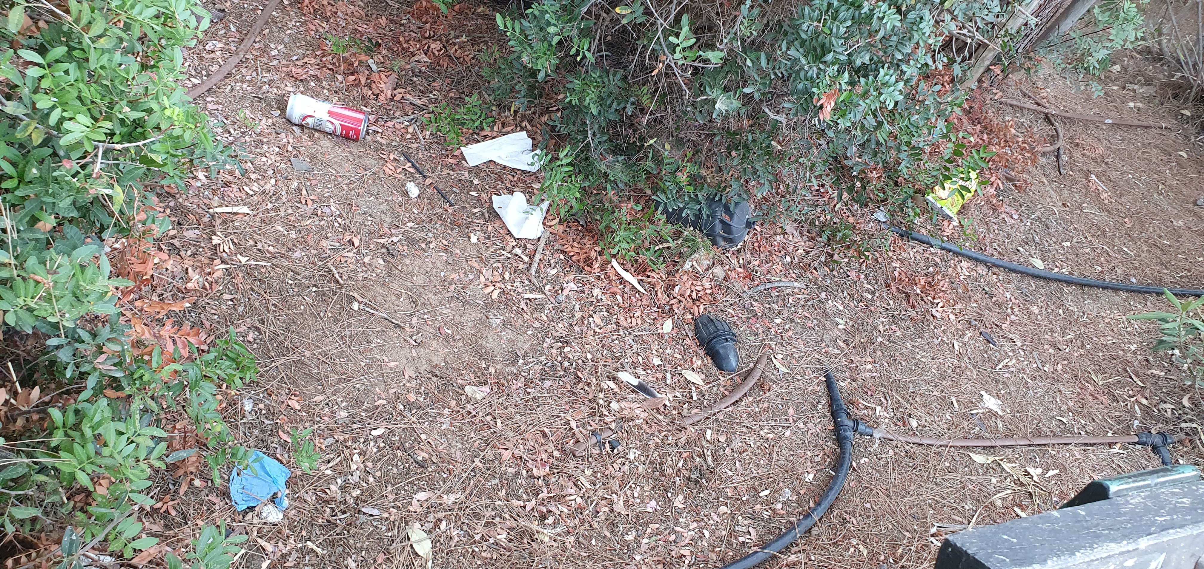 Rubbish throughout the park