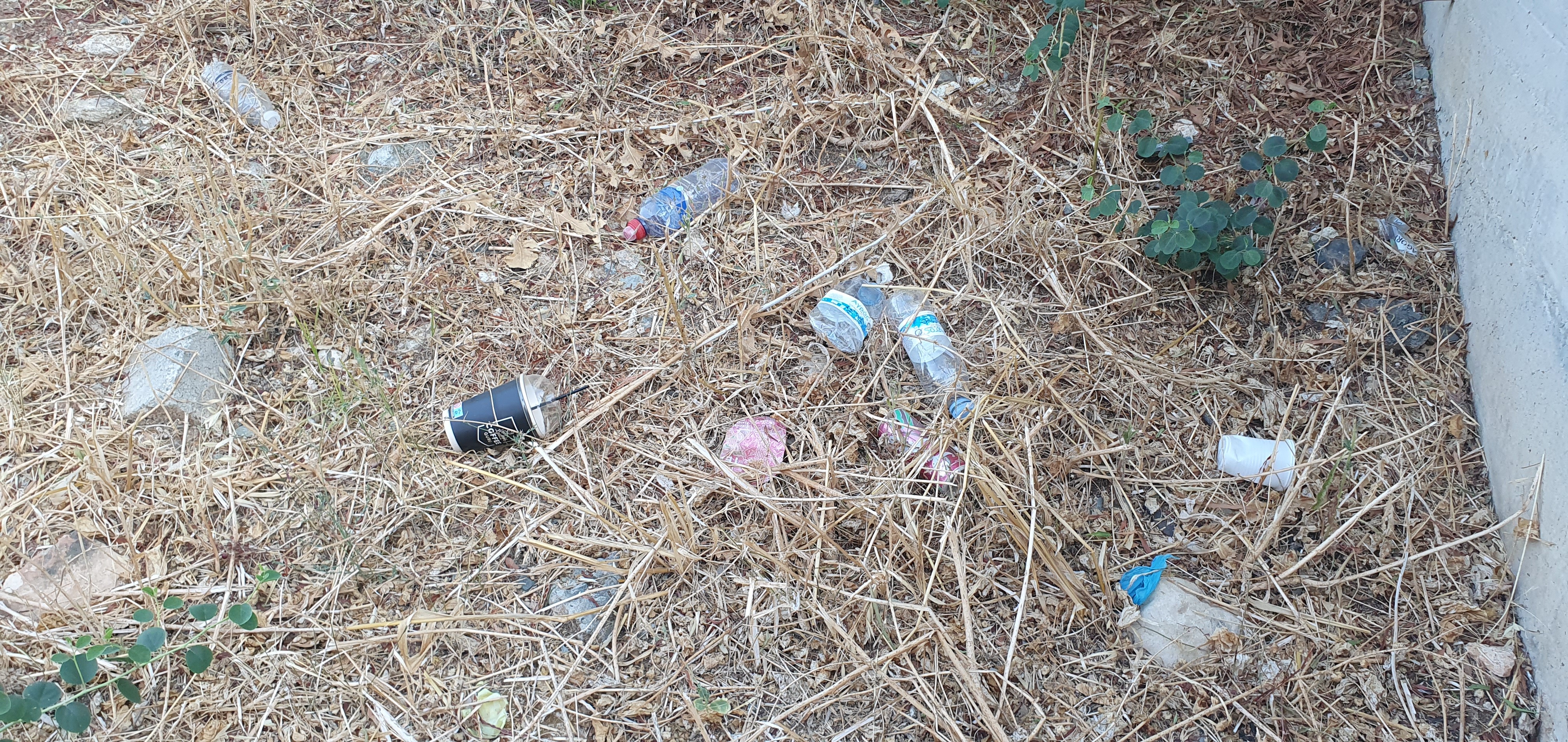 Random rubbish throughout the park
