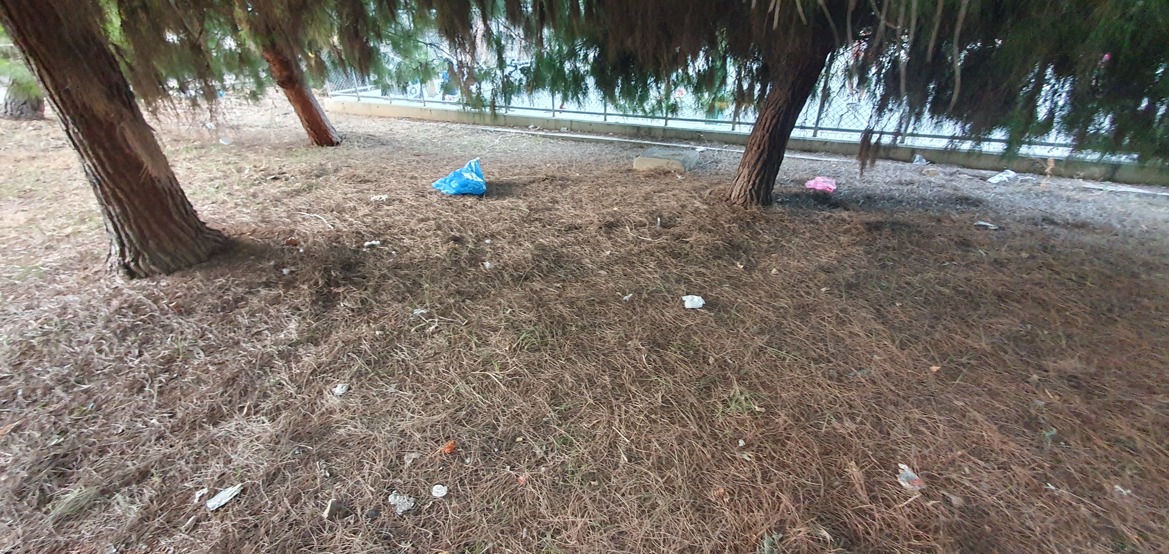 parkrubbish