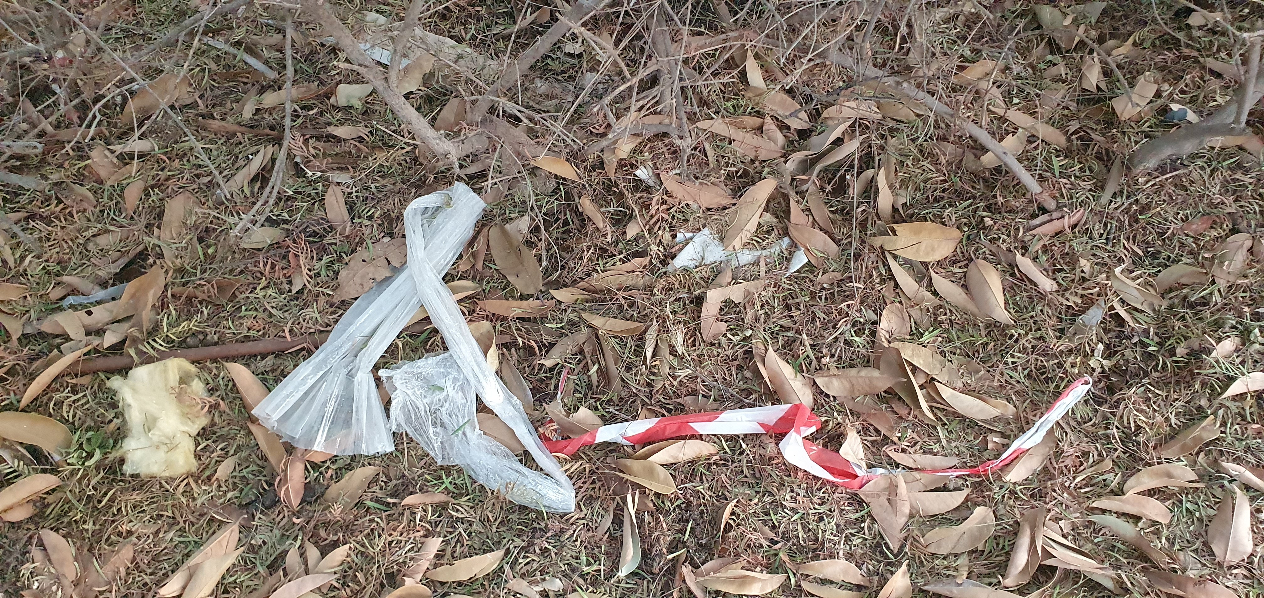 Random rubbish throughout the park