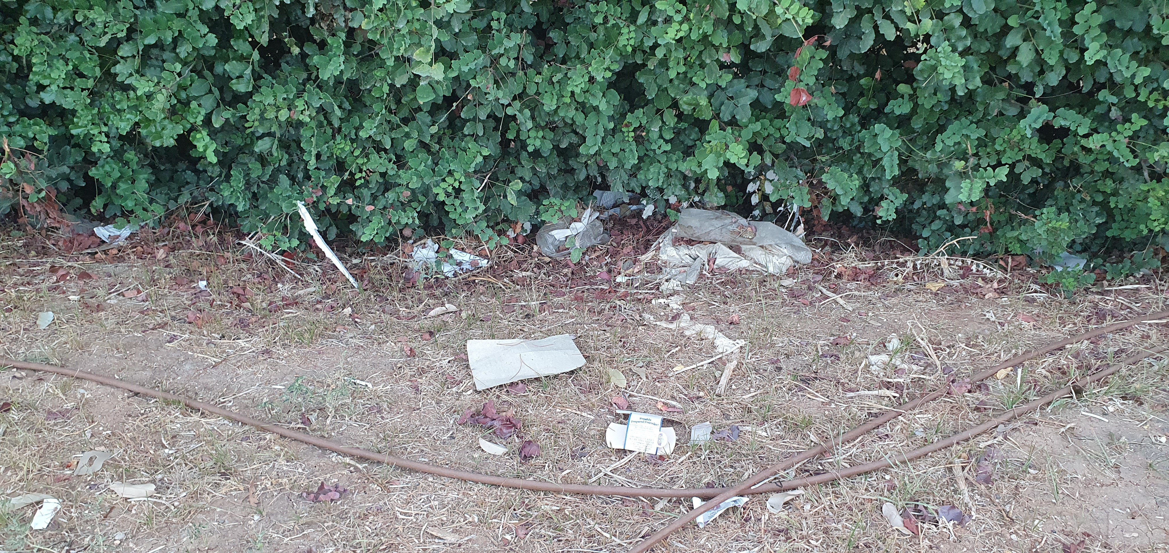 Random rubbish throughout the park
