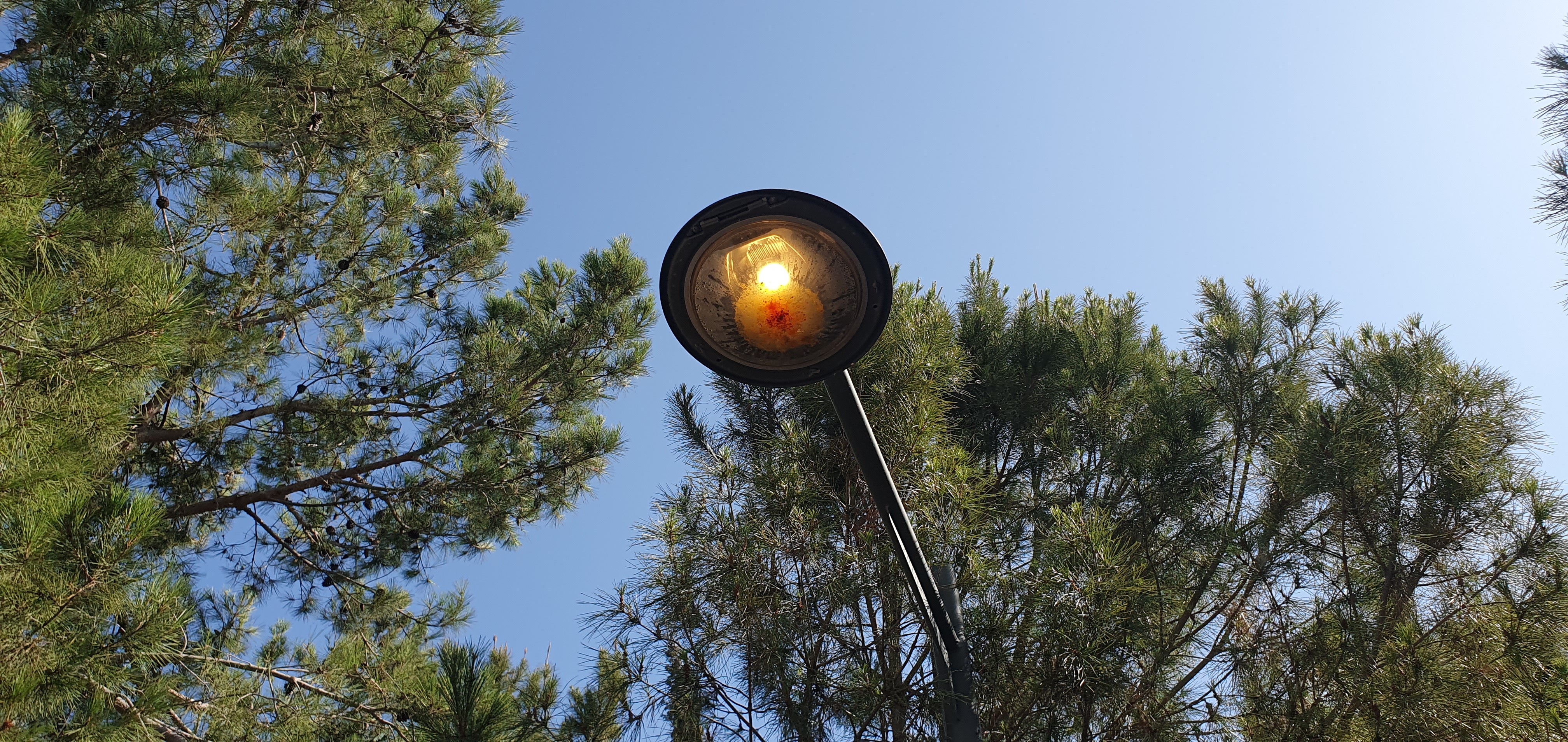 Light on during the day instead of at night