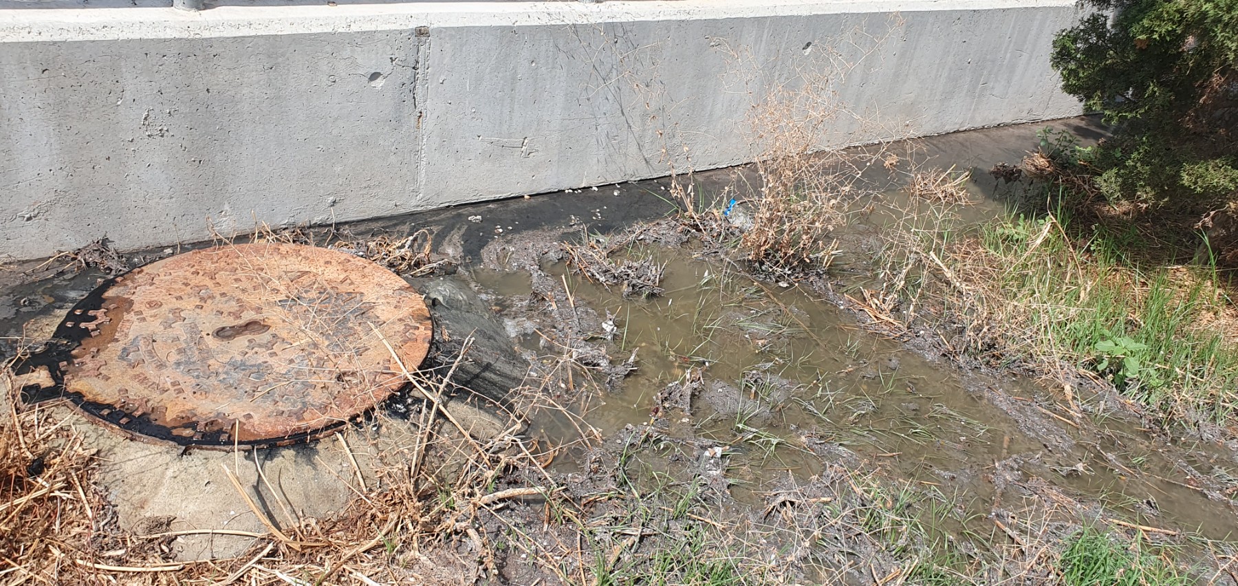 Sewage pouring into the park after the heavy rainfall