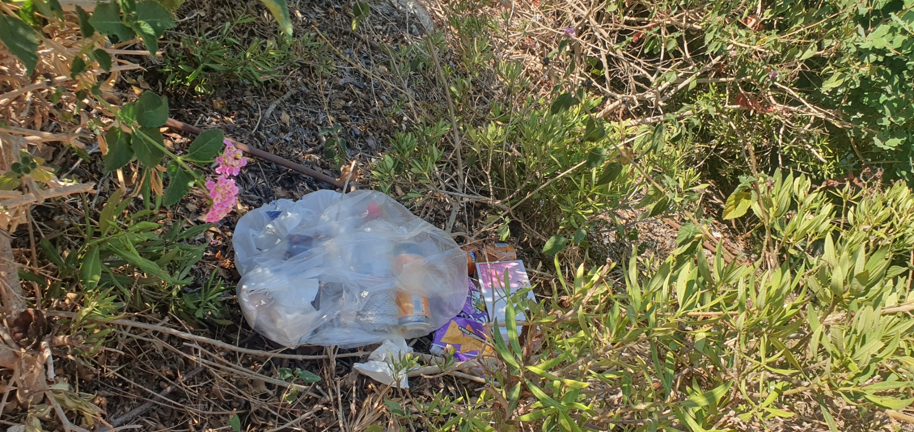 parkrubbish