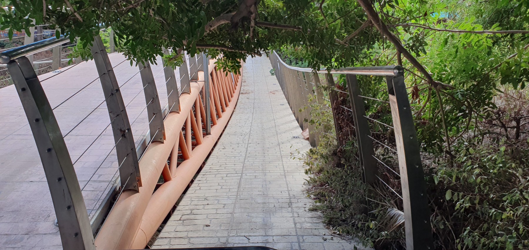 Trees need to be pruned. They are blocking pedestrians and cyclists