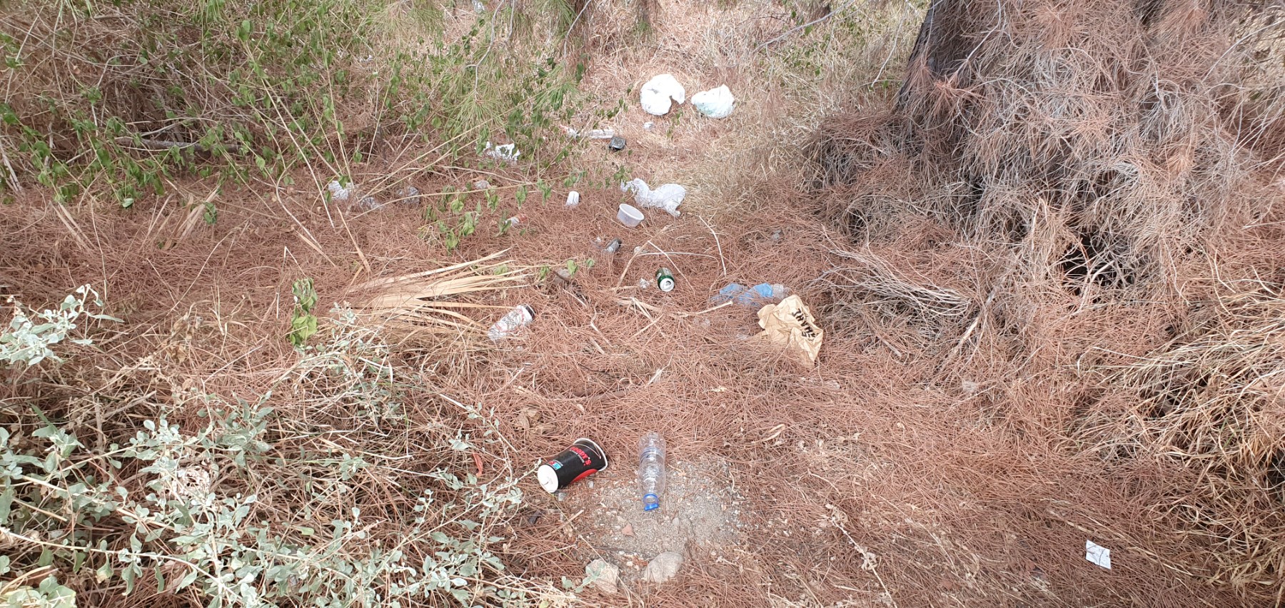 parkrubbish