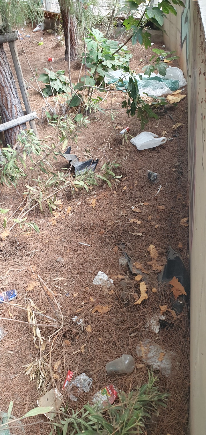 parkrubbish