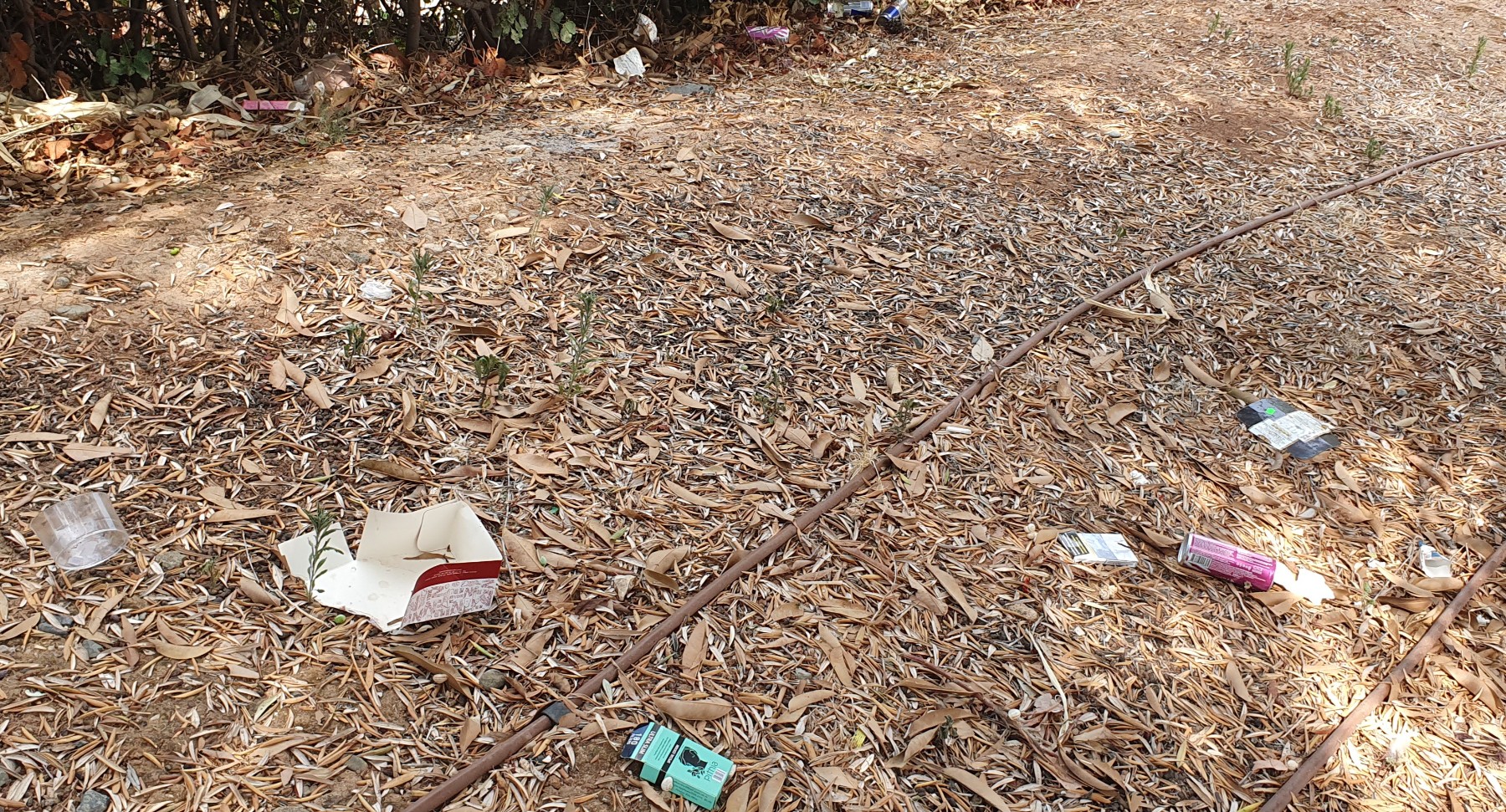 parkrubbish