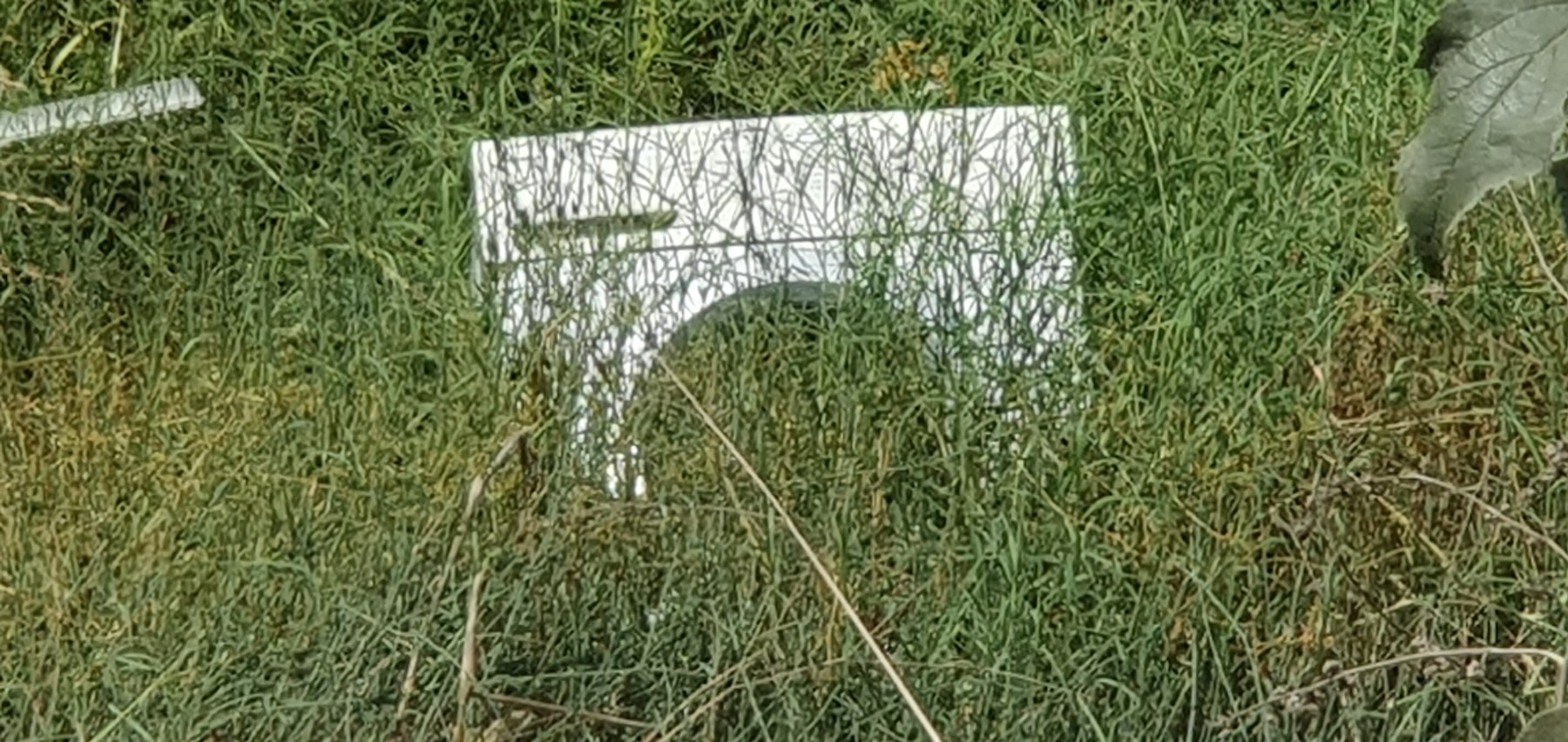 Washing machine in the river
